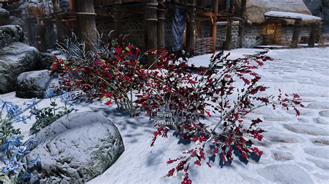 Where Do You Get Snowberries In Skyrim Farming Spots Uses Fandomspot