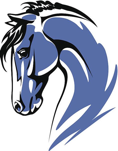 Best Horse Head Illustrations Royalty Free Vector