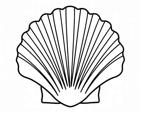 Seashell Design Outline Svg Seashell Svg Sea Shell Svg Etsy