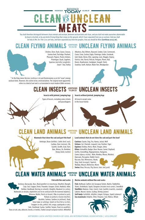 Another version can be found in the book of deuteronomy. Infographic: Which Animals Does the Bible Designate as ...