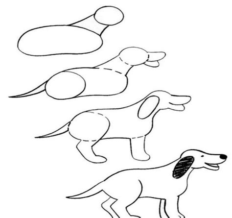 Рисунки собак карандашом для срисовки поэтапно 70 фото классные
