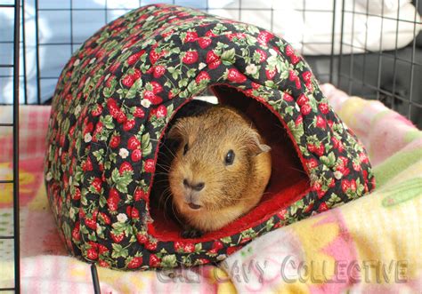 Cali Cavy Collective A Blog About All Things Guinea Pig Rustling Bags