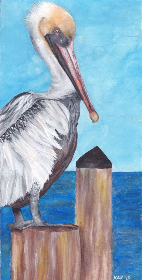 Limited Edition Print Of Pelican 1 Of 3 Watercolor Painting Pelican