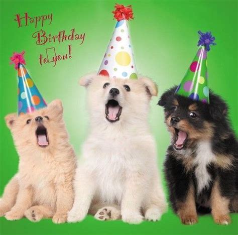 Pin By Shezelle Perry On A Birthday 1 Happy Birthday Puppy Happy