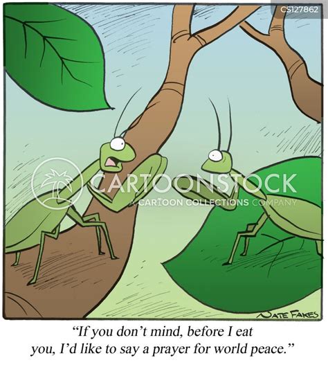 Praying Mantises Cartoons And Comics Funny Pictures From Cartoonstock