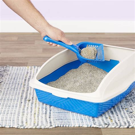 10 Best Clay Cat Litters In 2024 Reviews And Top Picks Pet Keen