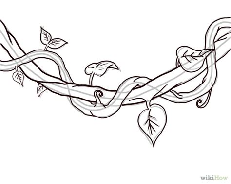 Vines Coloring Pages Coloring Home