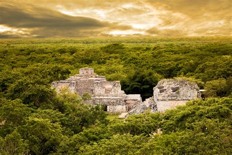 Mexique Une Ancienne Cité Maya Découverte