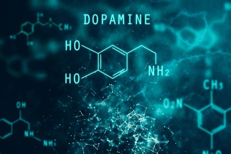 La dopamine ennemie et amie à la fois Quadra Force