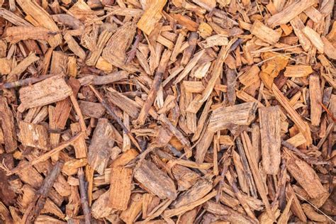 Wood Chips In Garden Soil