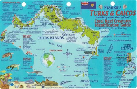 Turks And Caicos Dive Map And Reef Creatures Guide Franko Maps Laminated