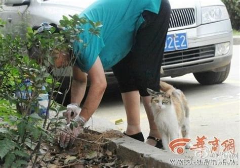 Heartbreaking Photos Show Mother Cat Trying To Revive Kittens Brutally Killed In China