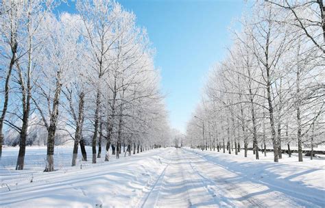 Canadá Terá Inverno Mais Longo E Com Mais Neve Comparado A 2016