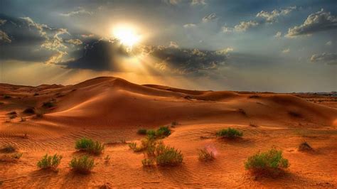 Desert Landscape Summer Sunset In The Desert Red Sand