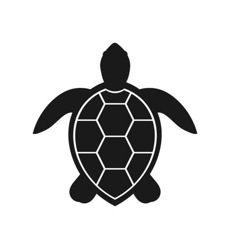 Best Sea Turtle Illustrations Royalty Free Vector