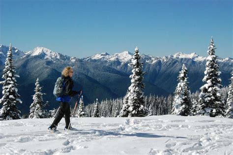Best National Parks To Visit In Winter Epic Winter Wonderland Adventures