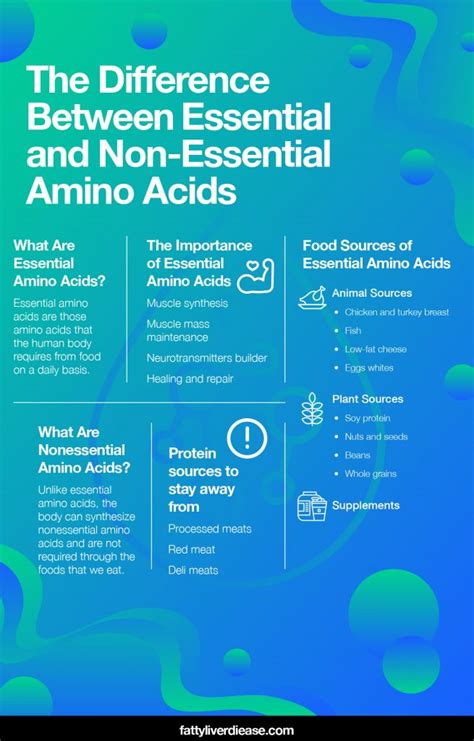 Difference Between Essential And Non Essential Amino Acids Faty Liver