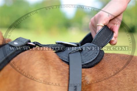 Petsafe easy walk dog harness. Agitation/walking Leather Dog Harness- english bulldog [H1 ...
