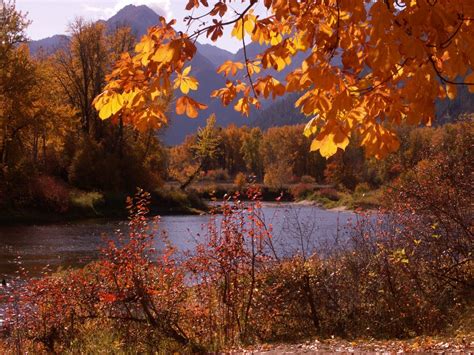 The 11 Best Places In Washington To See Fall Foliage In