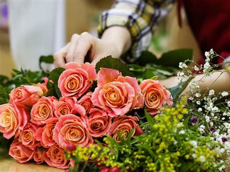 I ordered flowers for a friend's birthday and was very happy with the product delivered. Flowers And Champagne Delivery Sydney : Fig Bloom Flower ...