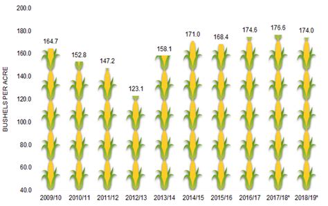United States Corn Yield 08 08 18 Mckeany Flavell