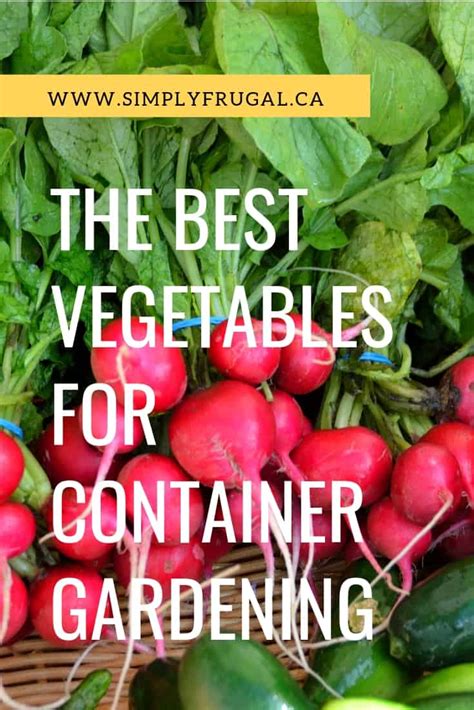These would be good vegetables to grow in your first garden as they are really easy to grow. The Best Vegetables for Container Gardening
