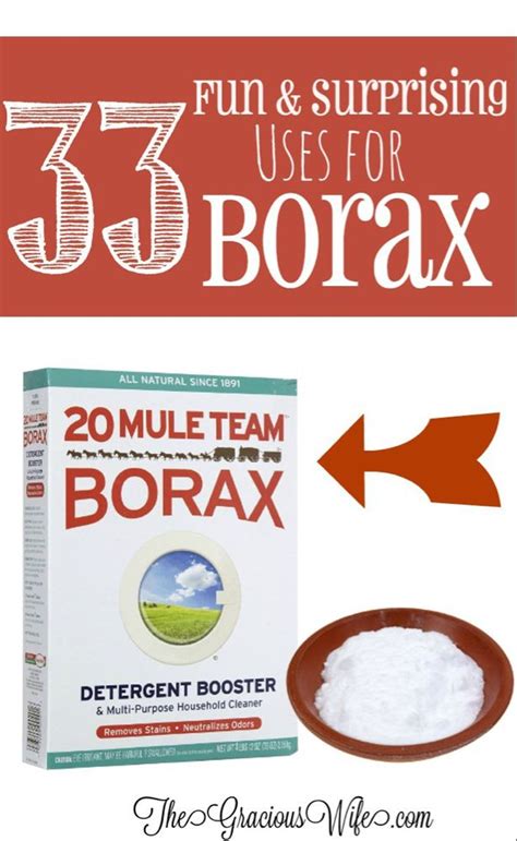33 Surprising And Fun Uses For Borax Borax Uses Borax Cleaning Borax