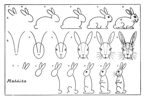 How to Draw a Bunny - Easy! - The Graphics Fairy