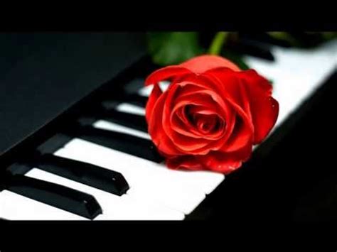 ✋a santa paz de deus! Hinos CCB Tocados PIANO Lindos - Hinario 5 Completo | Tema do casamento