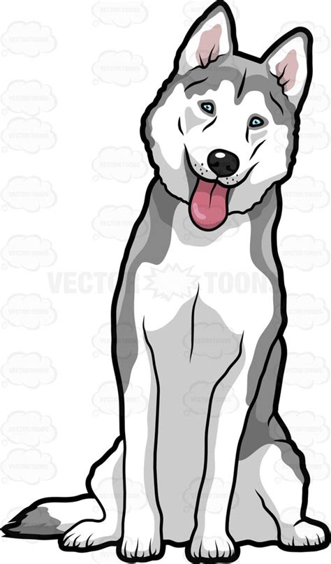 Siberian Husky Clipart 20 Free Cliparts Download Images On Clipground