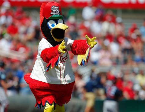 Baseball Mascots Show Off Their Moves Photos Abc News