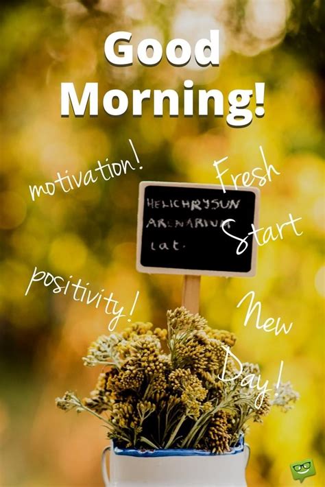 Thank you for join me this morning for some encouragement. Fresh Inspirational Good Morning Quotes for the Day | Get on the Right Track