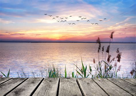 Birds Flying Over Lake Wallpaper Download Sunset Hd Wallpaper Appraw