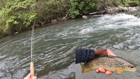 Redemption On Spring Creek Fly Fishing High Water For Finicky Brown