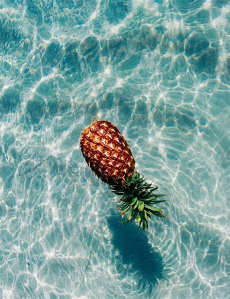 I had two people a few meters from me when i did this, i don't if they saw. Tropical summer mood - My Cosy Retreat | Interiors, DIY ...