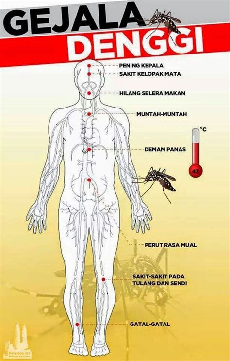Demam denggi bukan perkara asing berlaku di malaysia. info..info..info..: Demam Denggi