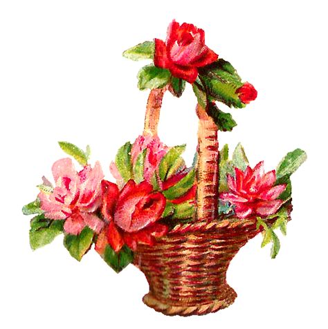 Red Flowers Basket Clipart Pngpng 567×570 Printable