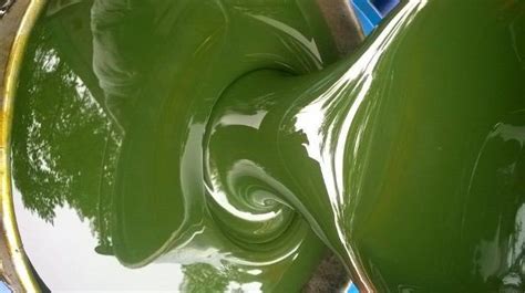 Mineral oils regulations 1997, heavy oils engineering books, mineral oils (safety) regulations 1997, mineral oils (safety) regulations 1997 pdf, mineral oils safety. Rubber Process Oil manufacturer, Rubber Process Oil ...