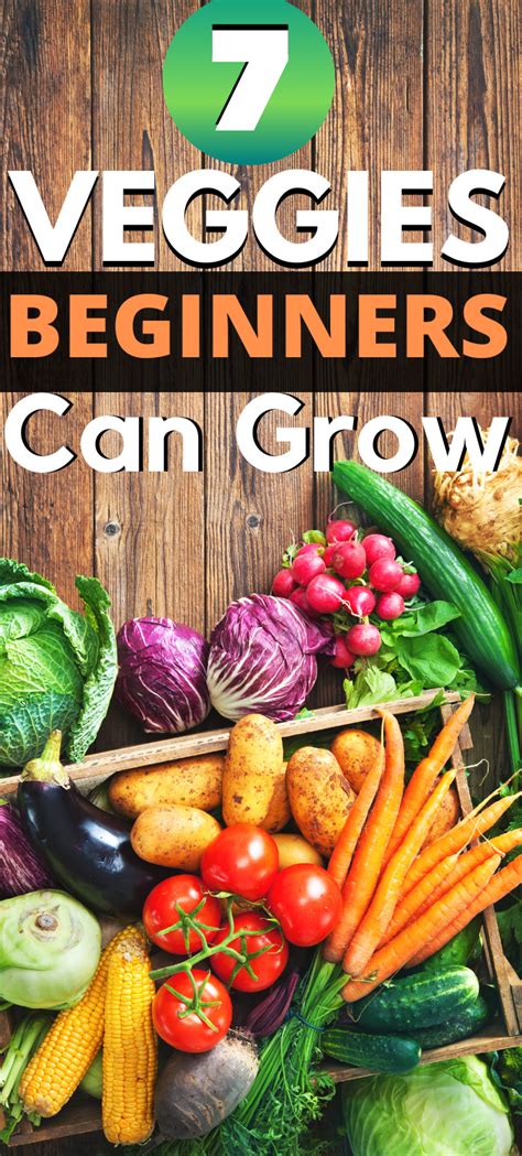 7 Veggies Beginning Gardeners Should Grow Homesteading Where You Are