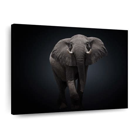 Great African Elephant Wall Art Photography