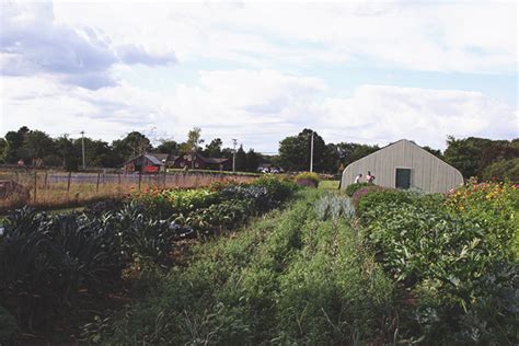 Farmer's daughter interiors is a swift current, sk based interior decorating and design studio creating beautiful, functional, and refreshingly livable interior taking the guesswork out of interior design. Farm Tour: The Farmer's Daughter South Kingstown RI - Our ...