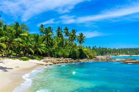 top secluded beaches in goa for couples top companions
