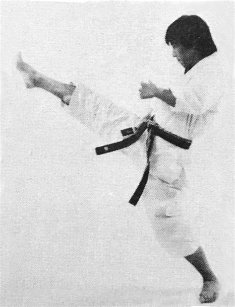 Pin By Linden Huckle On Shotokan Karate Kihon Martial Arts Shotokan Karate Karate