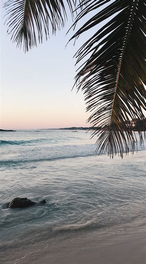 Mexico wallpaper download free cool hd backgrounds for. Meet me in Mexico | Aesthetic backgrounds, Scenery, Sky ...