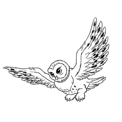 Owls Coloring Pages To Download And Print For Free