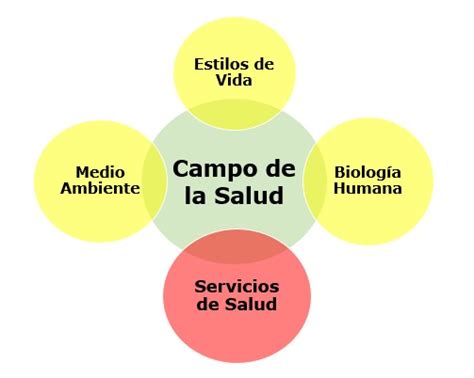 Salud PÚblica Mind Map