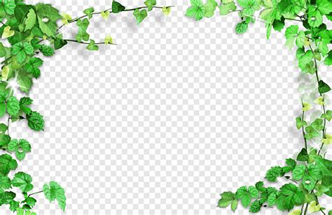 Green Green Leaves Frameplant Frame Green Textile Border
