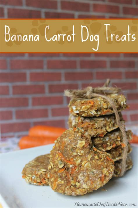 Antioxidant-Rich Banana Carrot Dog Treats - Homemade Dog Treats - Truly