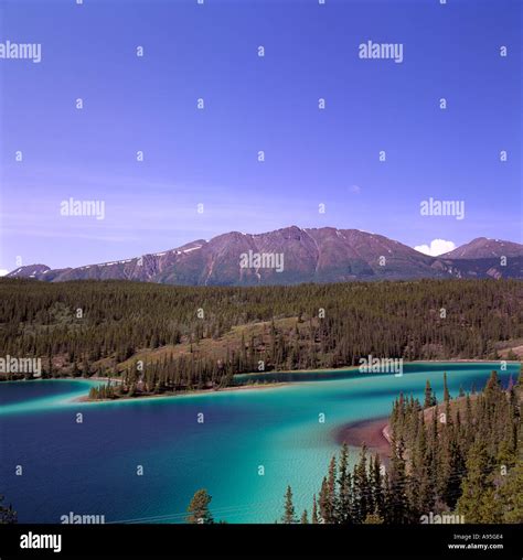 Emerald Lake Yukon Territory Canada Scenic Landscape Near Carcross