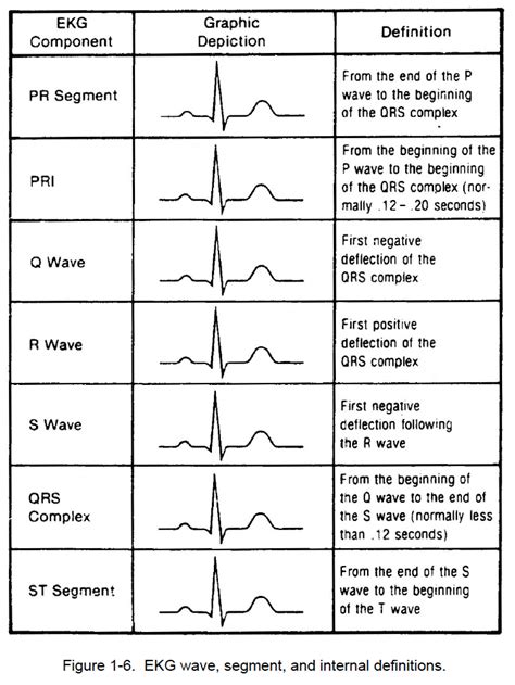figure 1 6 ekg wave segment and internal definitions cardiac rhythm interpretation